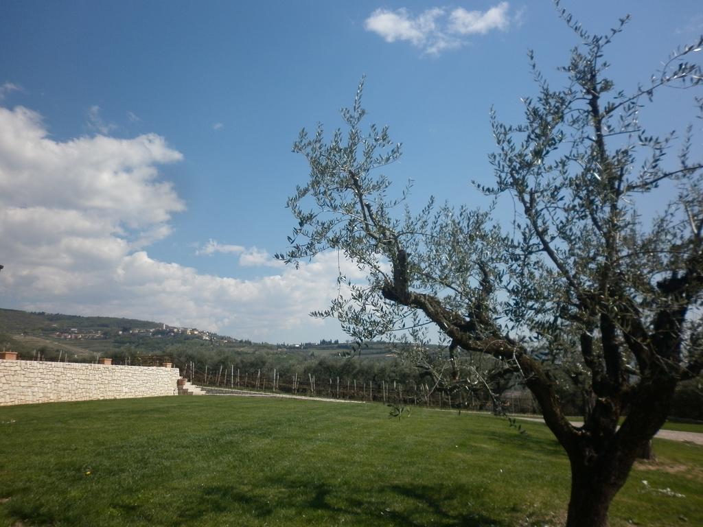 SantʼAmbrogio di ValpolicellaLa Piccola Mimosa公寓 外观 照片
