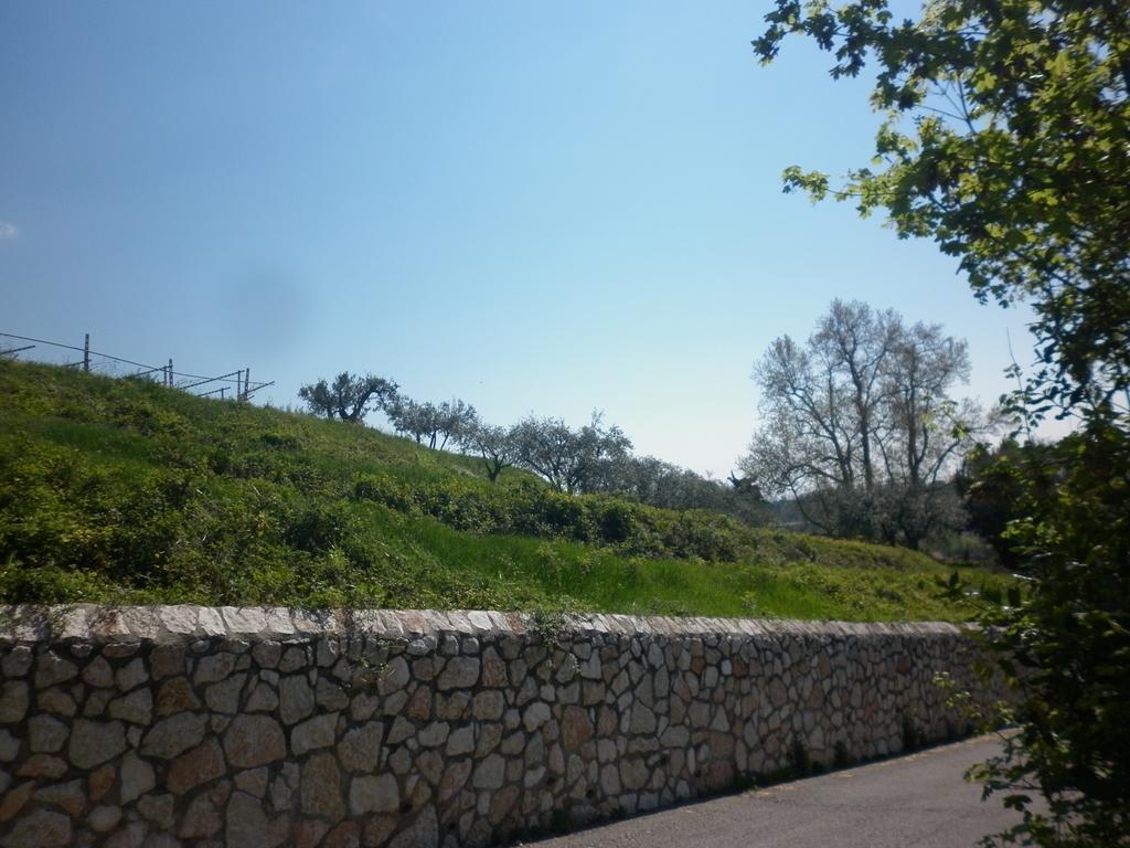 SantʼAmbrogio di ValpolicellaLa Piccola Mimosa公寓 外观 照片