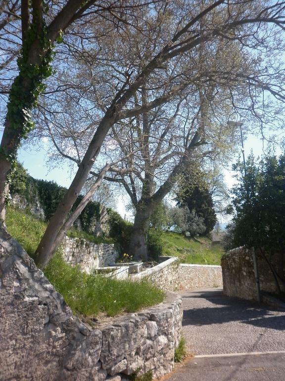 SantʼAmbrogio di ValpolicellaLa Piccola Mimosa公寓 外观 照片